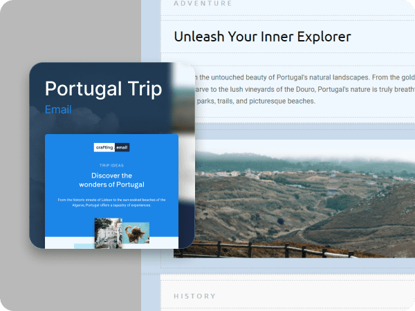 User checking if the theme is installed.